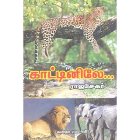 காட்டினிலே-Kattinilae